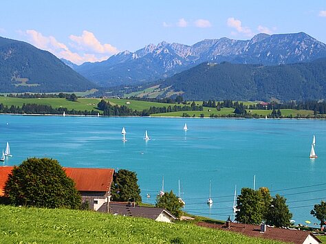 Ferienwohnung in Schwangau